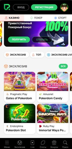 Мобильная версия